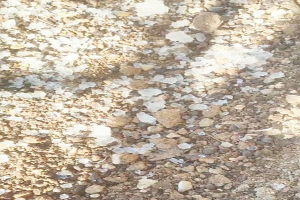 تصویر 2 از پودر جاذب کشاورزی با قیمت ارزان و خرید باور نکردنی